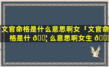 文官命格是什么意思啊女「文官命格是什 🐦 么意思啊女生 🐝 」